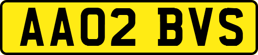 AA02BVS
