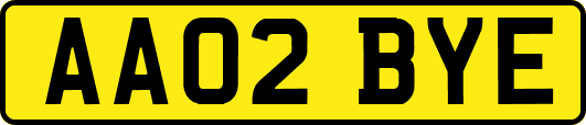 AA02BYE