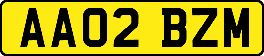 AA02BZM
