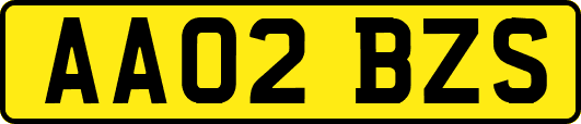 AA02BZS