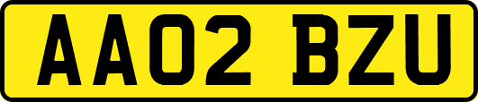 AA02BZU