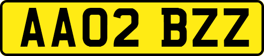 AA02BZZ