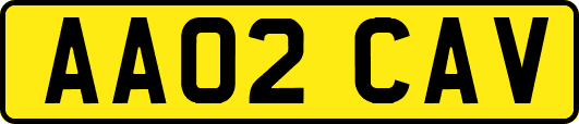 AA02CAV