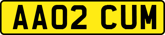 AA02CUM