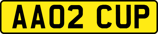 AA02CUP