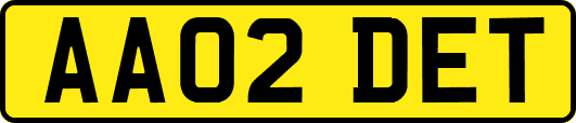 AA02DET