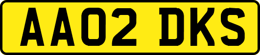 AA02DKS