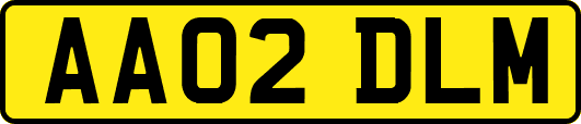 AA02DLM