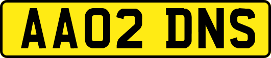 AA02DNS