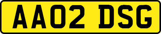AA02DSG