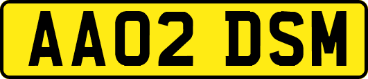 AA02DSM