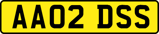 AA02DSS