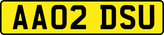 AA02DSU