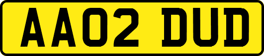 AA02DUD