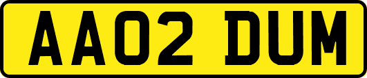 AA02DUM