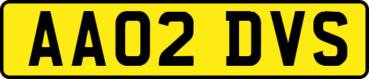 AA02DVS
