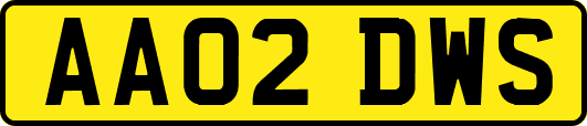 AA02DWS