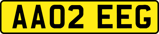 AA02EEG