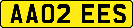 AA02EES