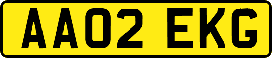 AA02EKG