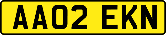 AA02EKN