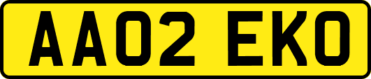 AA02EKO