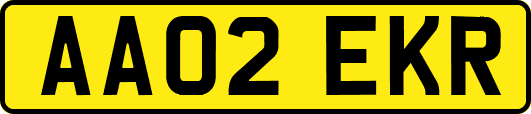 AA02EKR