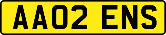 AA02ENS
