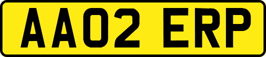 AA02ERP