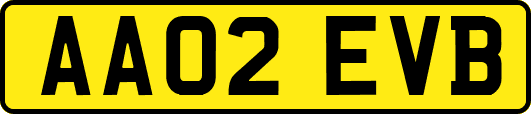 AA02EVB