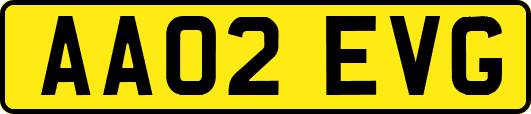 AA02EVG