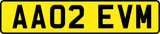 AA02EVM