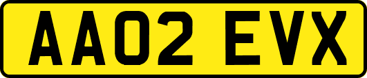AA02EVX