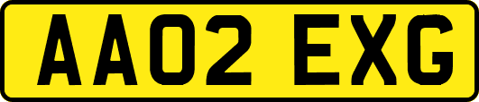 AA02EXG