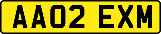 AA02EXM