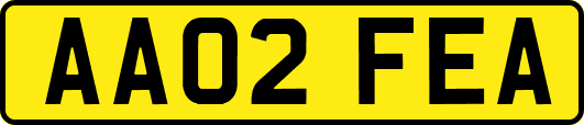 AA02FEA