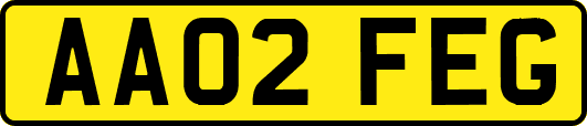 AA02FEG