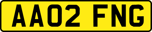 AA02FNG