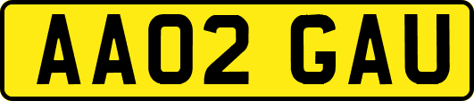 AA02GAU