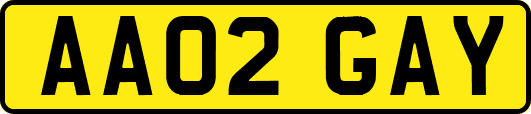 AA02GAY