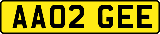 AA02GEE