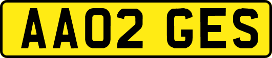 AA02GES
