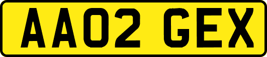 AA02GEX