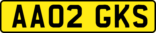 AA02GKS