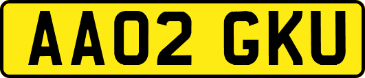 AA02GKU