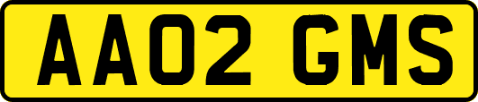 AA02GMS