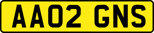 AA02GNS