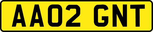 AA02GNT