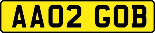 AA02GOB