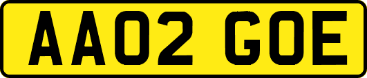 AA02GOE